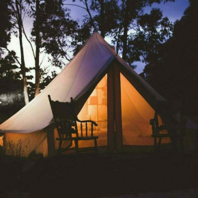 Pop-up glamping - Buurvrouws' Belltentje 2-4 pers